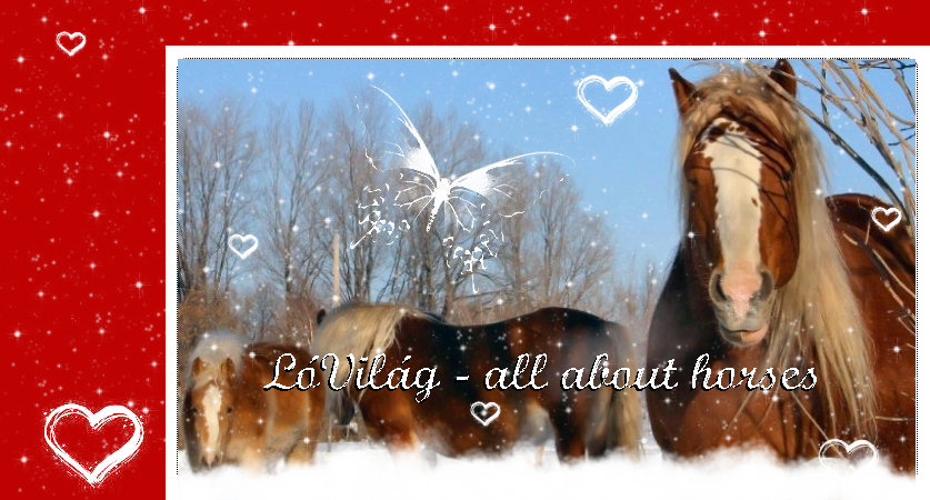 LVilg - all about horses